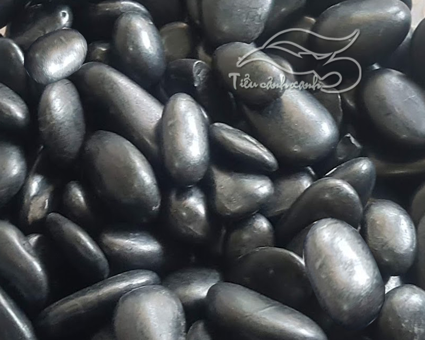 Hãy khám phá hình ảnh với đá cuội đen bóng tự nhiên - một vật thể với sắc đen đầy bí ẩn và quyến rũ. Với sự tự nhiên và độc đáo, đá cuội đen bóng mang đến cho bạn một niềm vui khám phá và tò mò vô tận.